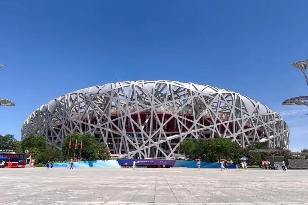 Bird's Nest